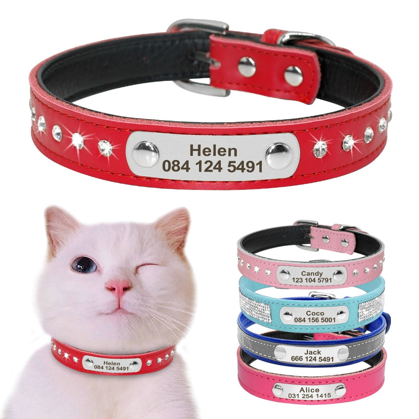 Cat Collars