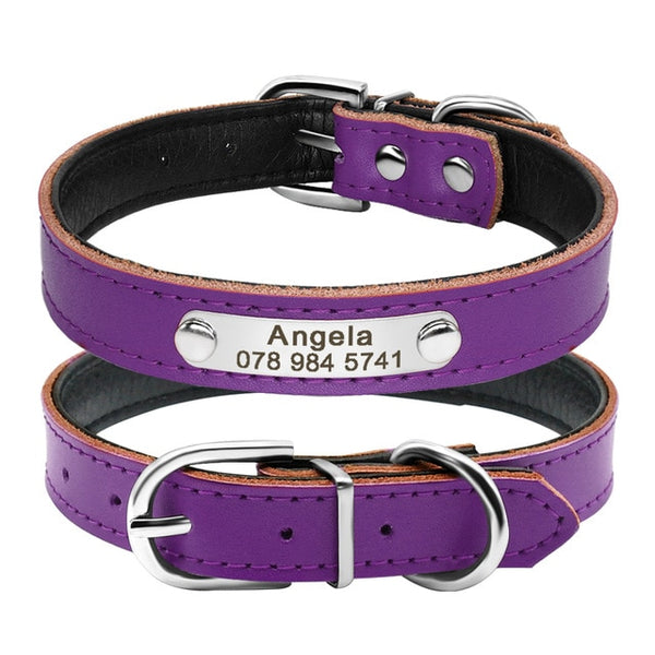 Personalized Leather Adjustable Cat Collar - Polly's Pet Products