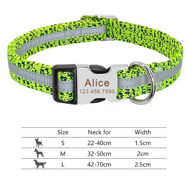 Nylon Custom Engraved Dog Collar w/ Reflective Nameplate - Polly's Pet Products