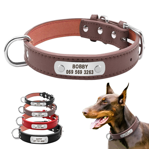 Durable Personalized Leather Padded Dog Collar - 4 Sizes - Polly's Pet Products