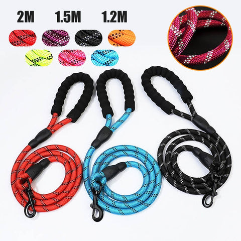 Reflective Durable Nylon Dog Leash - 2m - Polly's Pet Products