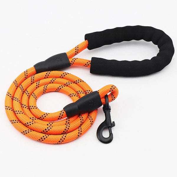 Reflective Durable Nylon Dog Leash - 2m - Polly's Pet Products